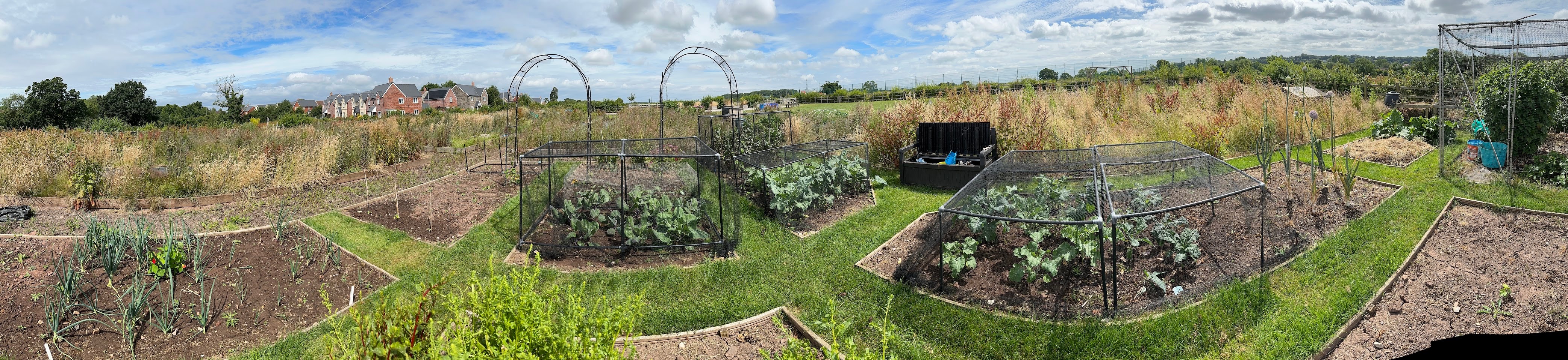 Thornbury Fields Allotments panoramic view