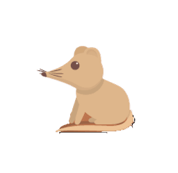 Decorative shrew illustration