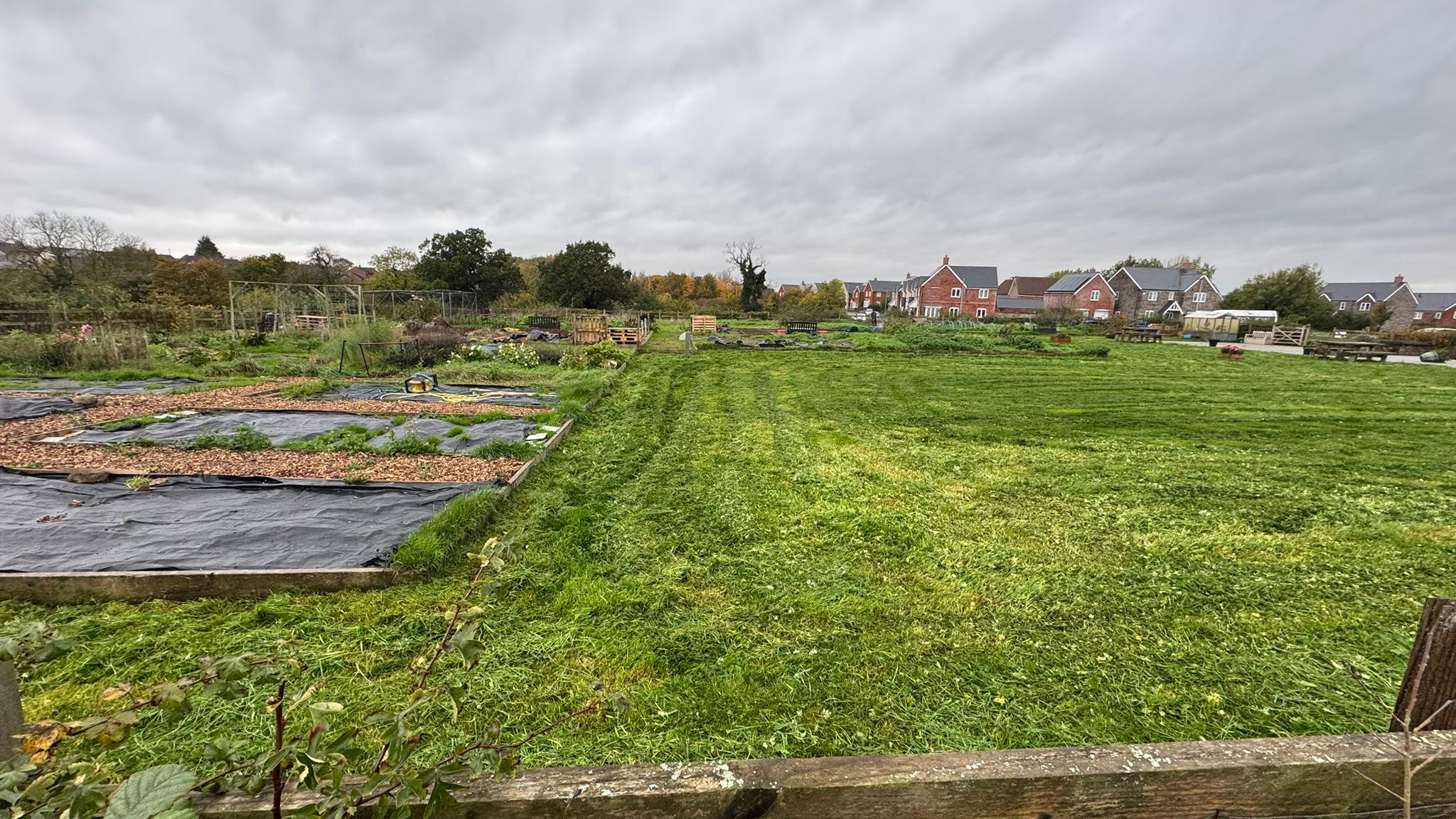 Allotment plot